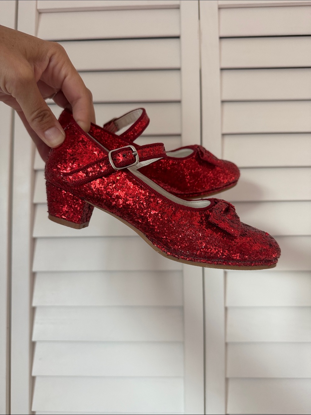 Ruby Red Slippers